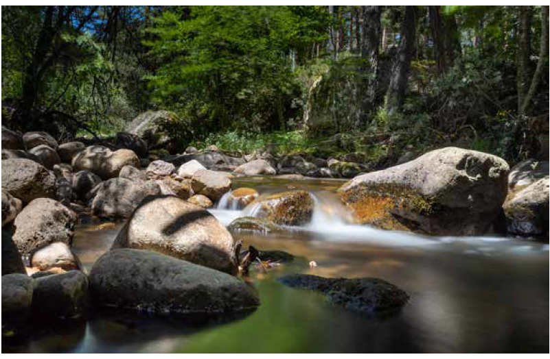 مستعيناً بالصورة أدناه، كيف تعمل الأنهار والسيول على تعرية الصخور؟ مستعيناً بالصورة أدناه، كيف تعمل الأنهار والسيول على تعرية الصخور؟